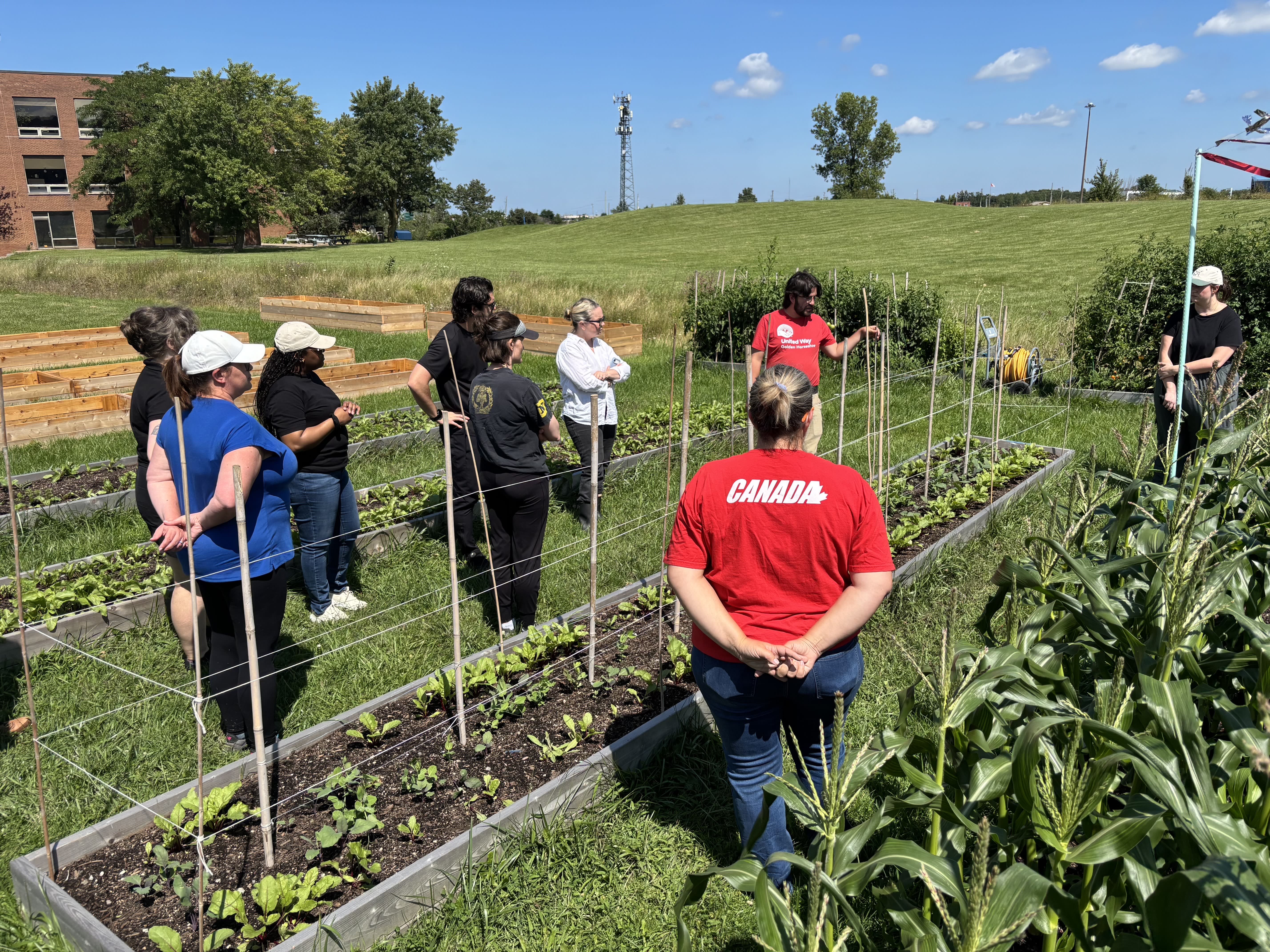 The delta4 volunteers in the United Way community garden.