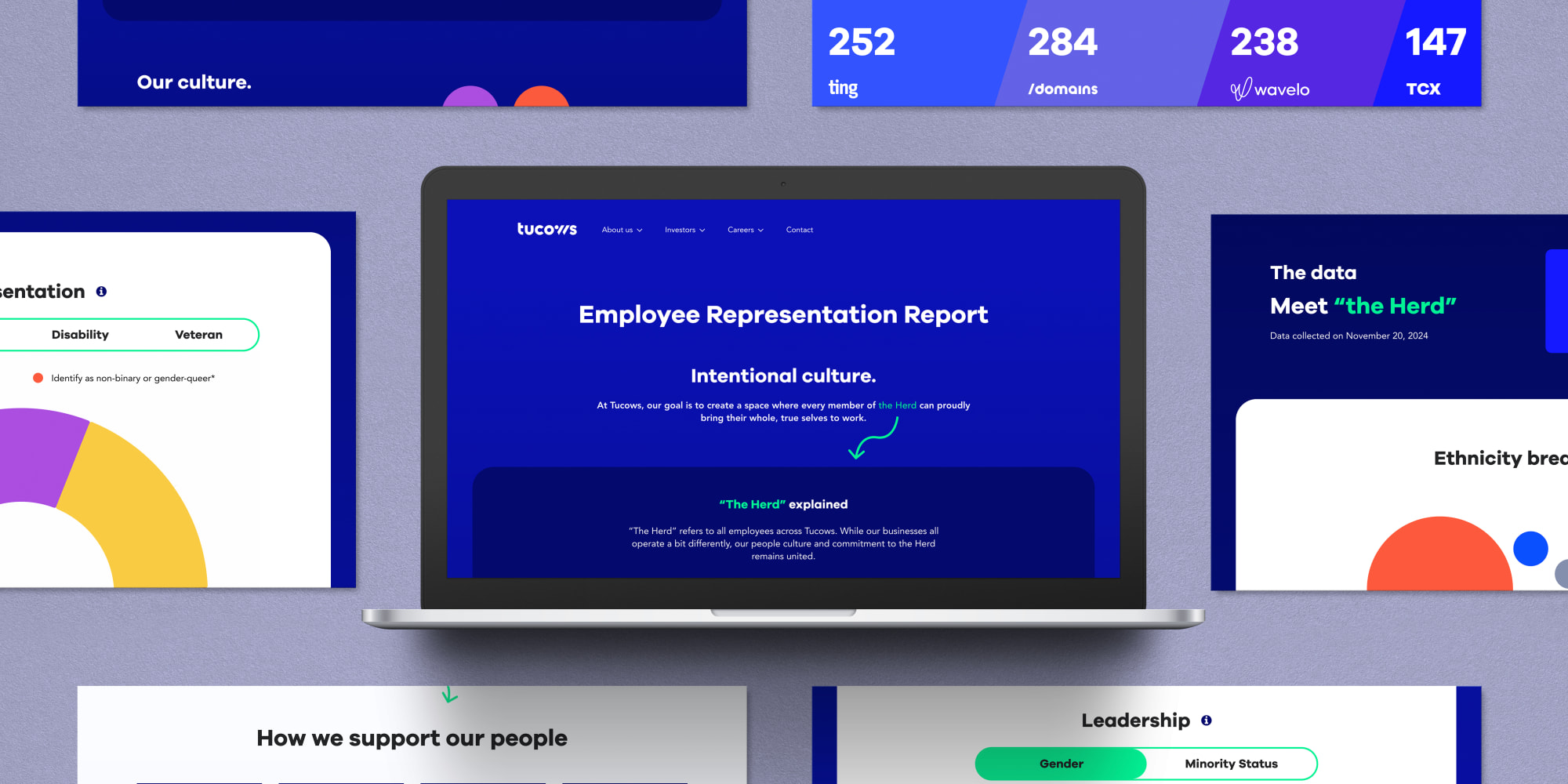 Graphic of the various elements of the Tucows Inclusion report page that was built.