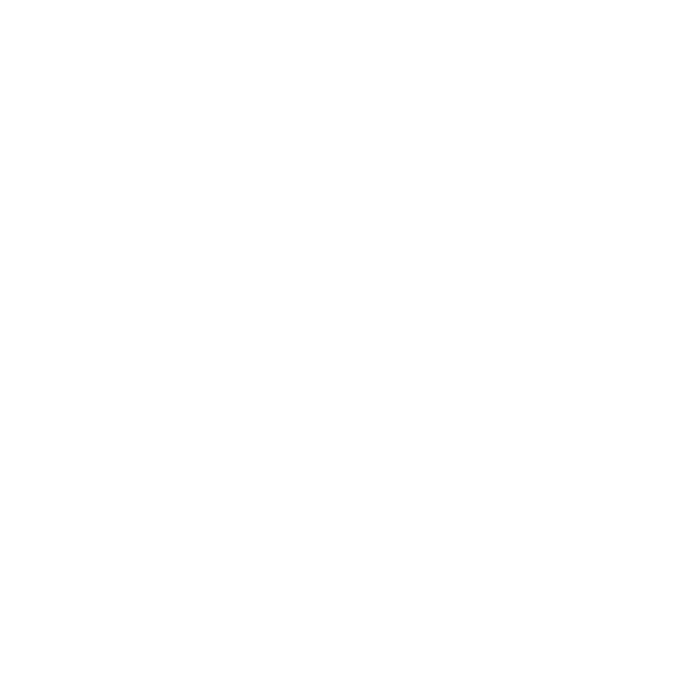 YWCA Niagara Logo