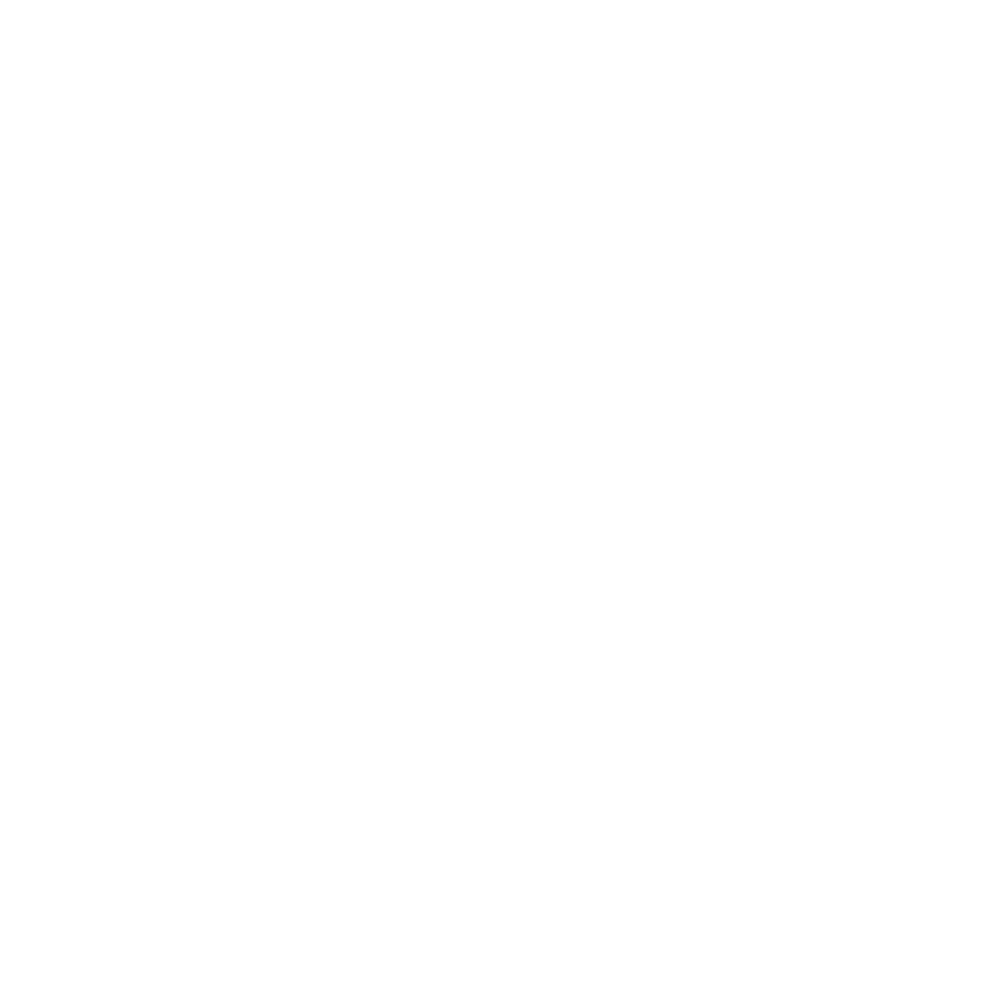 Jamieson Logo