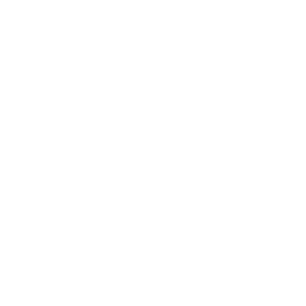 Rinaldi Homes Logo