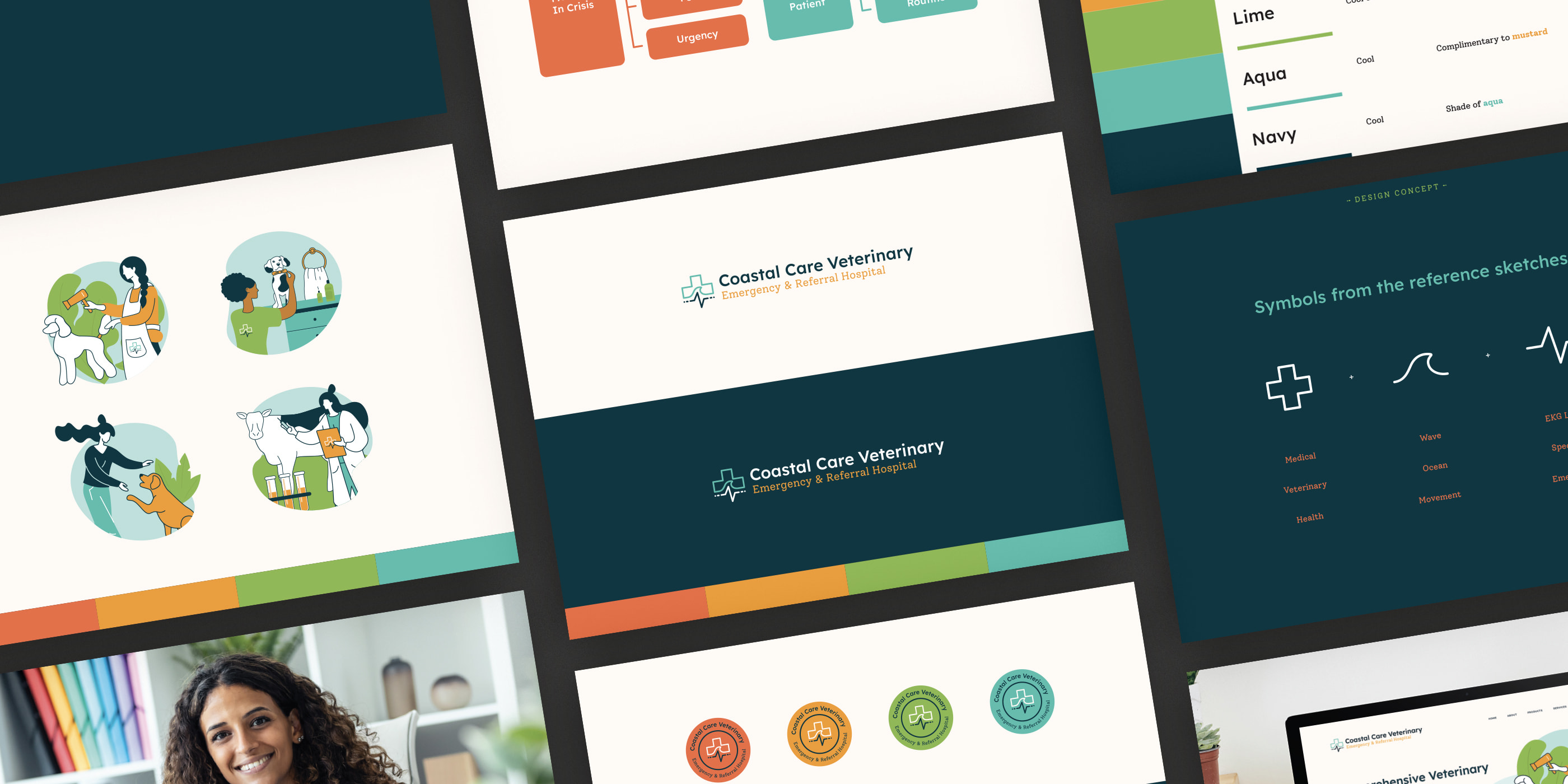 Collage of Coastal Care Veterinary branding featuring logos, illustrations, colour palettes and design concepts.