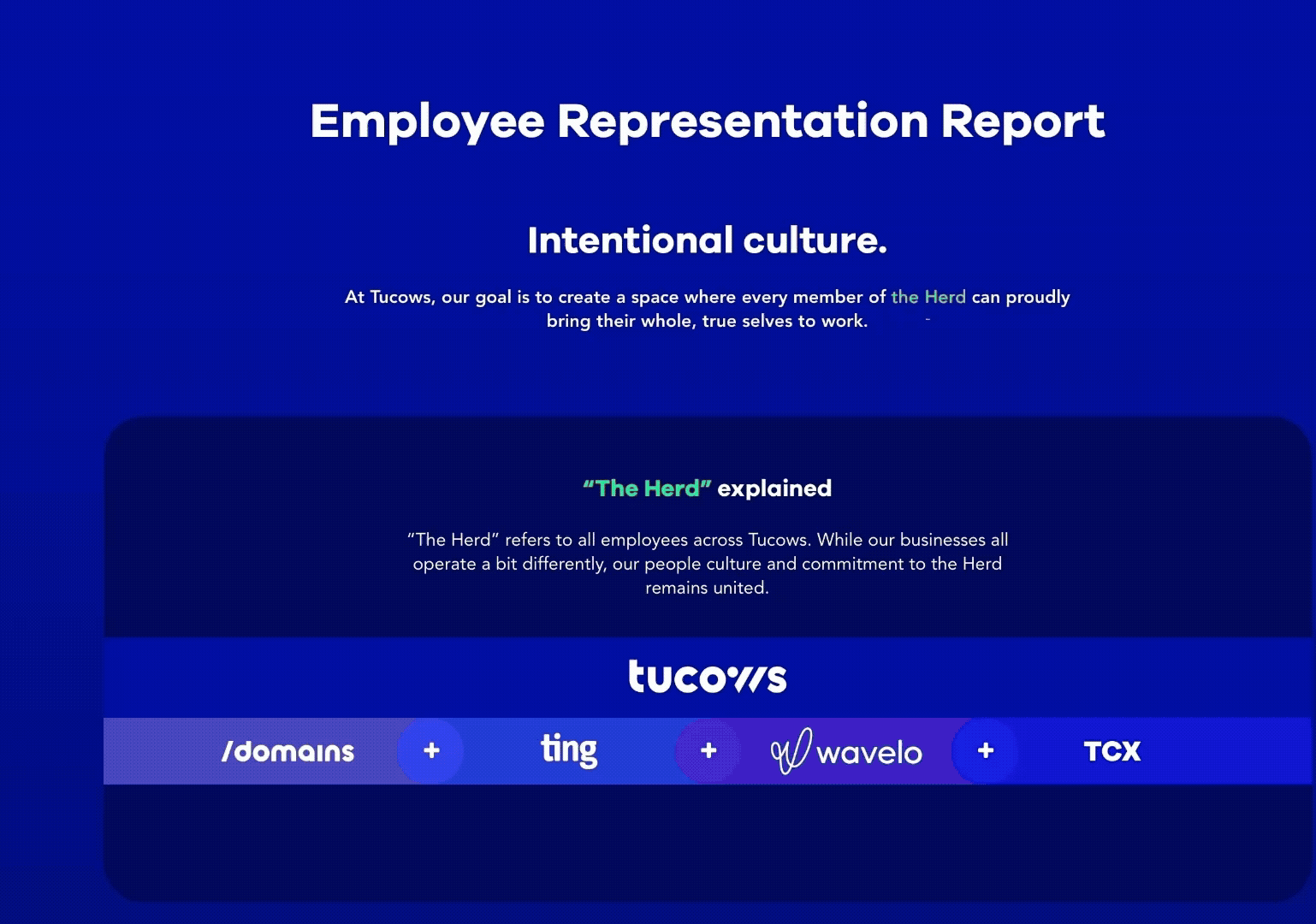 Video of the various elements on the Tucows Inclusion report page the was designed.